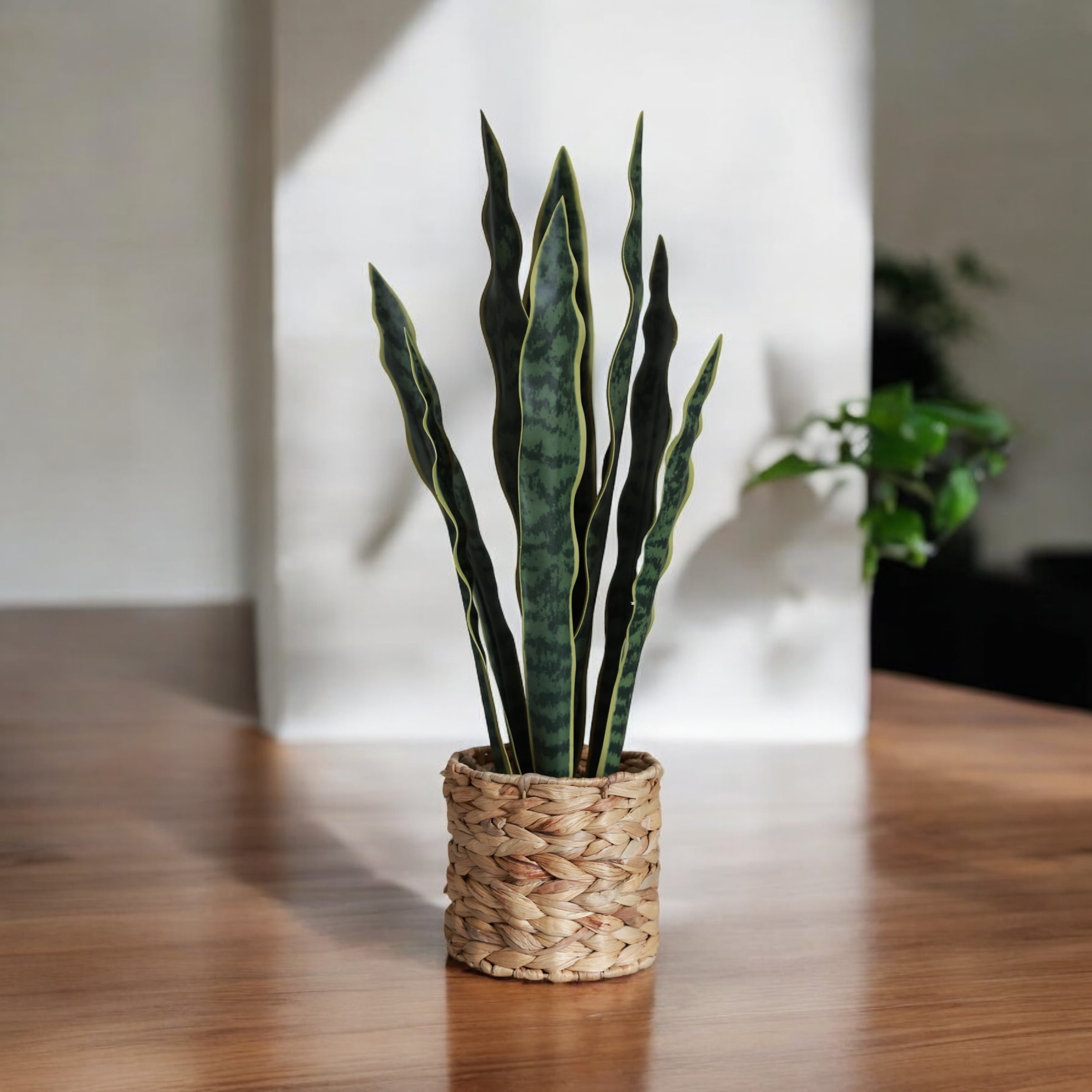 Home Decoration Series 24.3